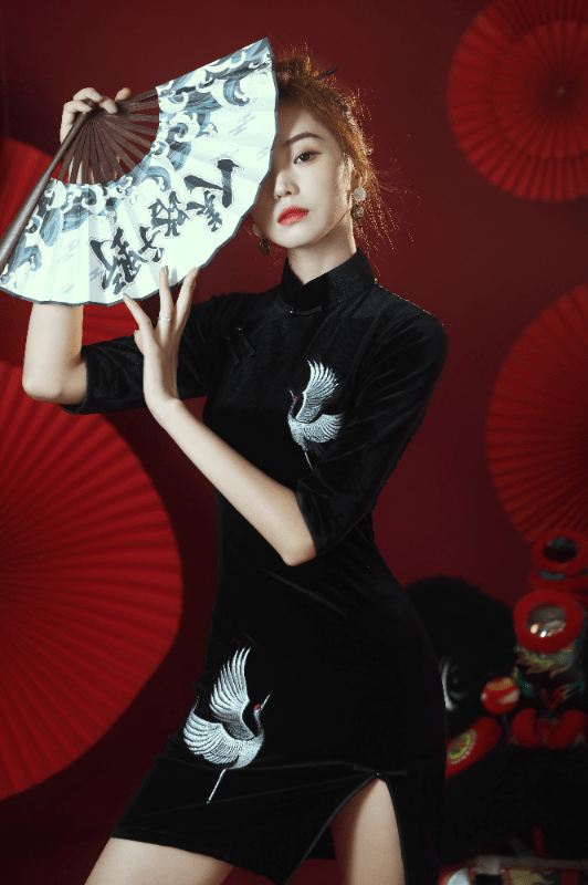 Aslinhanfu Crane embroidery, velvet fabric, short Qipao dress