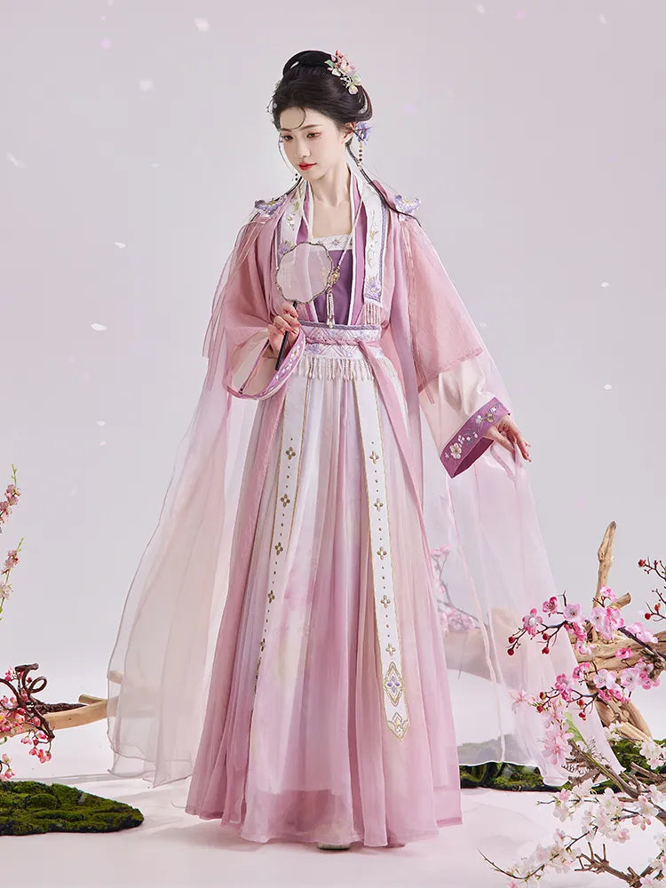 Chinese Costume Women Song Dynasty Hanfu Set