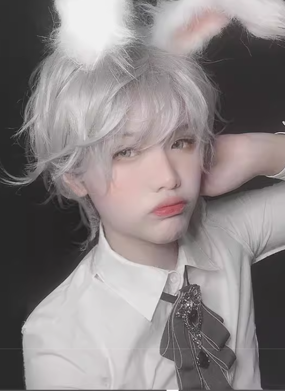 PippiPalace - Mr. Rabbit - Gray Slightly Short Curly Wig