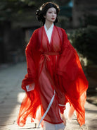 Wei Jin Dynasty Hanfu Robe | Graciela