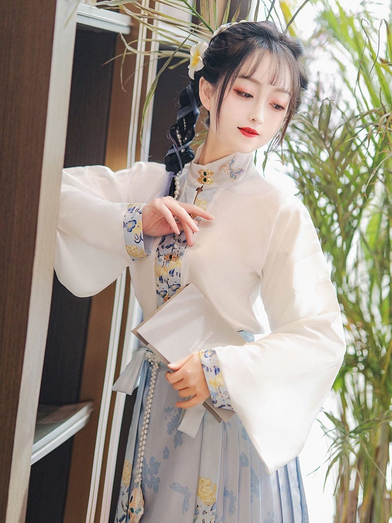 Ming Dynasty, Butterfly pattern, long MaMian Qun set 馬面裙