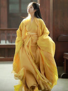 Wei Jin Dynasty Hanfu Robe | Golden Meadow