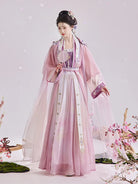 Chinese Costume Women Song Dynasty Hanfu Set