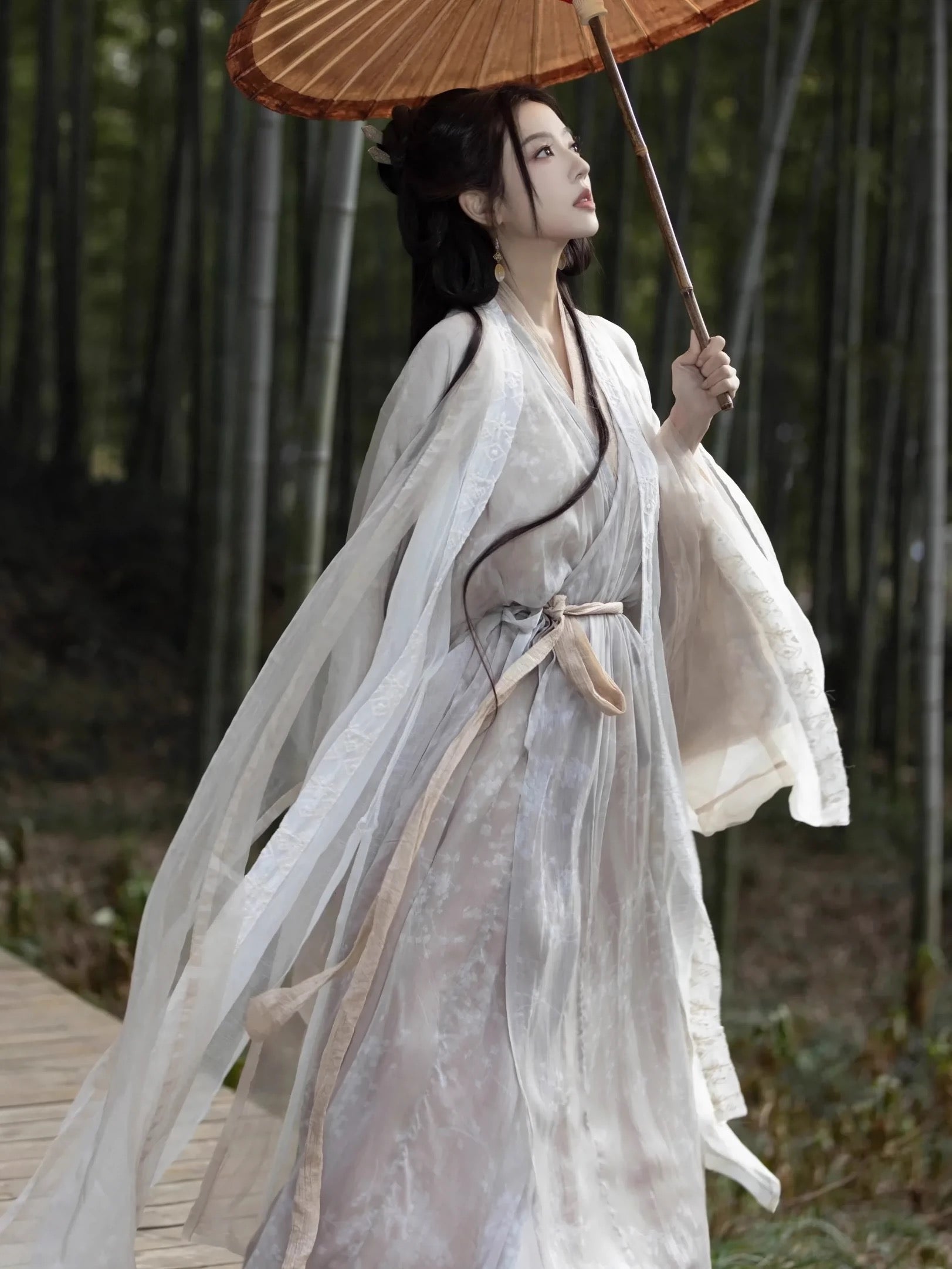 Wei Jin Dynasty Hanfu Robe | Snow Blossoms