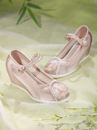 Rongqing Traditional Chinese Hanfu Shoes