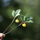 Pomelo Leaves Hair Stick | Ancient Chinese Hair Accessory