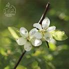 Tang Dynasty Pine Hair Stick | Traditional Chinese Hair Accessory
