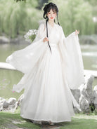 Wei Jin Dynasty Qiyao Ruqun Hanfu | Bright Lady 神明少