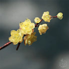 Winter Blossom Hair Stick | Ancient Chinese Hair Accessory