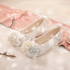 Beaded Curtain | Embroidered Shoes(宫锁珠帘）