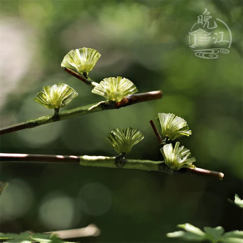 Pine Tree Hair Stick | Ancient Chinese Hair Accessory