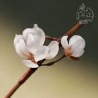 Snow Orchid Hair Stick | Ancient Chinese Hair Accessory