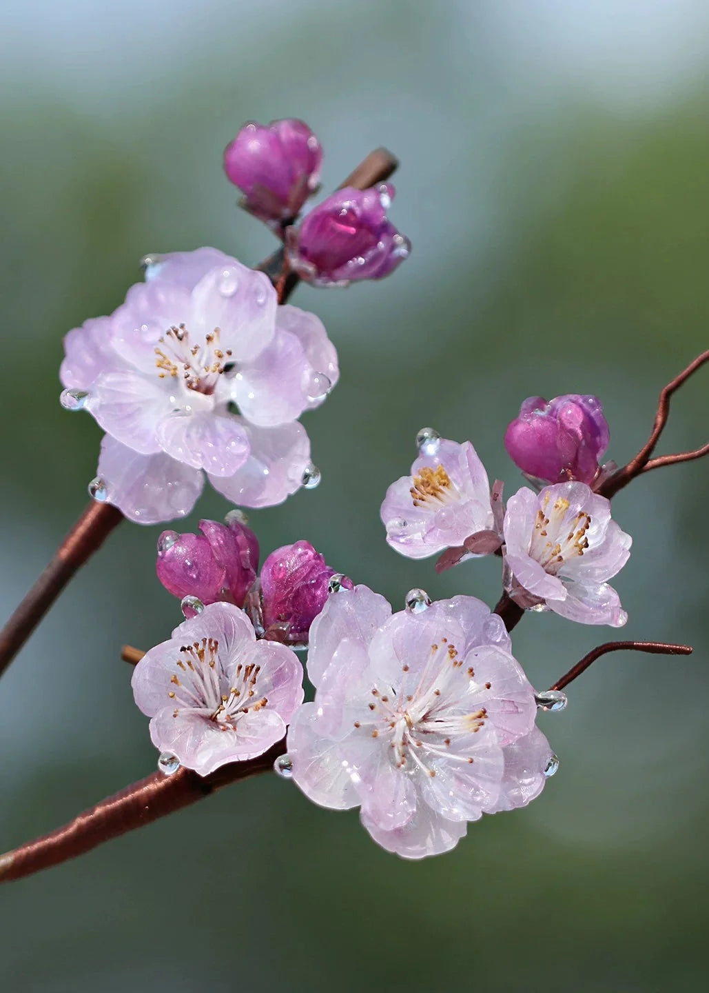 Frosted Plum | 1 Pcs Pink Hairpin (照水朱砂)