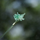 Qingyuan Hair Stick | Traditional Chinese Hair Accessory