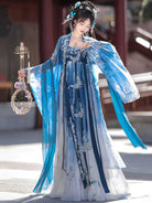 Porcelain Beauty 瓷碟美人 - Tang Dynasty Style Hanfu Dress Heziqun