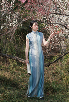 Susie Q 苏西Q 1930s Ombré Stripe Spring Summer Cap Sleeve Qipao
