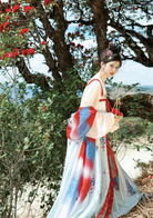 Mei Hua Su | Tang Style Modern Hanfu Dress for Spring
