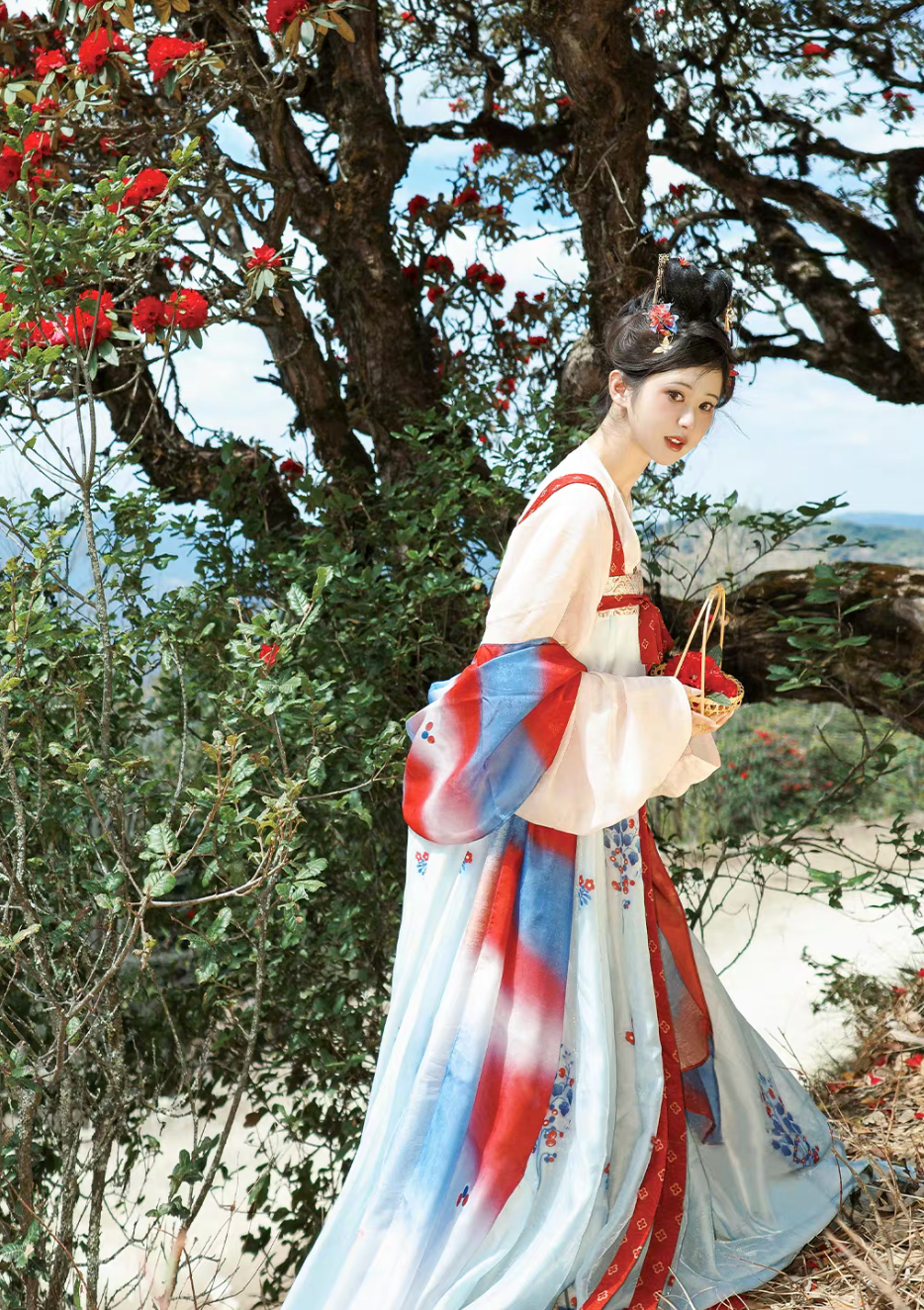 Mei Hua Su | Tang Style Modern Hanfu Dress for Spring