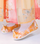 Anning Traditional Chinese Hanfu Shoes