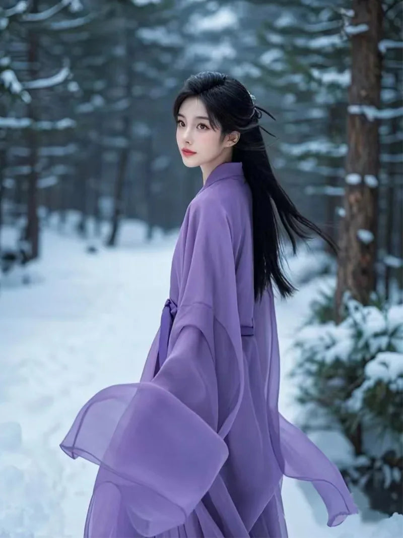 Female ancient chinese clothing in purple Wei Jin style Hanfu full set