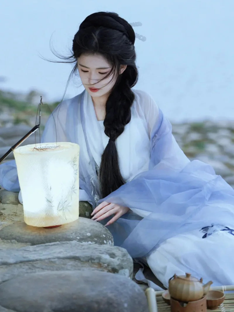 Female Wei Jin Chinese Traditional Clothing with delicate fabric and flowing sleeves