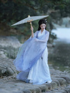 Female Wei Jin Chinese Traditional Clothing with delicate fabric and flowing sleeves