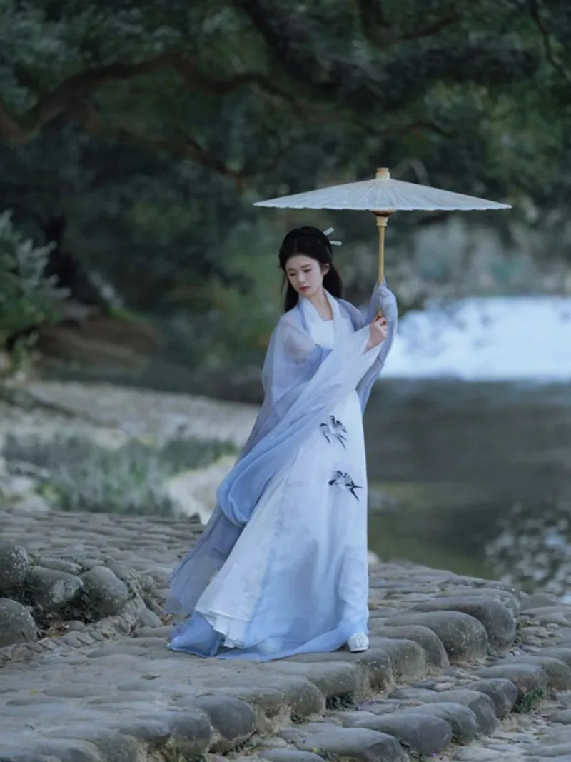 Female Wei Jin Chinese Traditional Clothing with delicate fabric and flowing sleeves