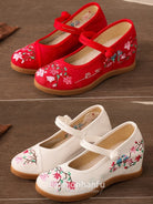 Fashion Hanfu National Style Embroidered Shoes Hanfu Shoes