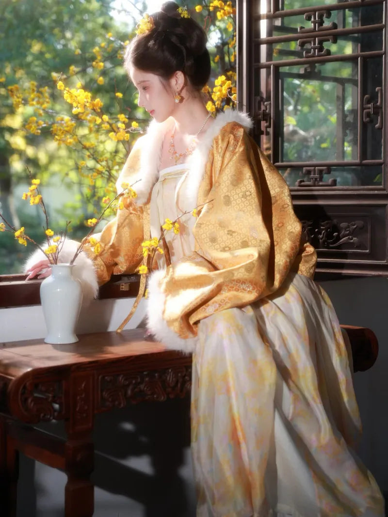 Hanfu clothes featuring Tang-style chest-high winter dress with plush lining
