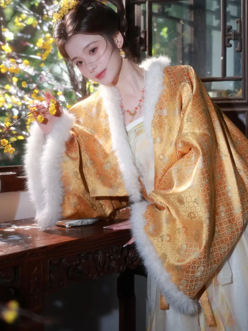 Hanfu clothes featuring Tang-style chest-high winter dress with plush lining