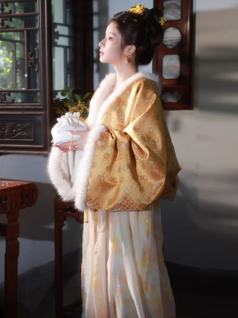 Hanfu clothes featuring Tang-style chest-high winter dress with plush lining