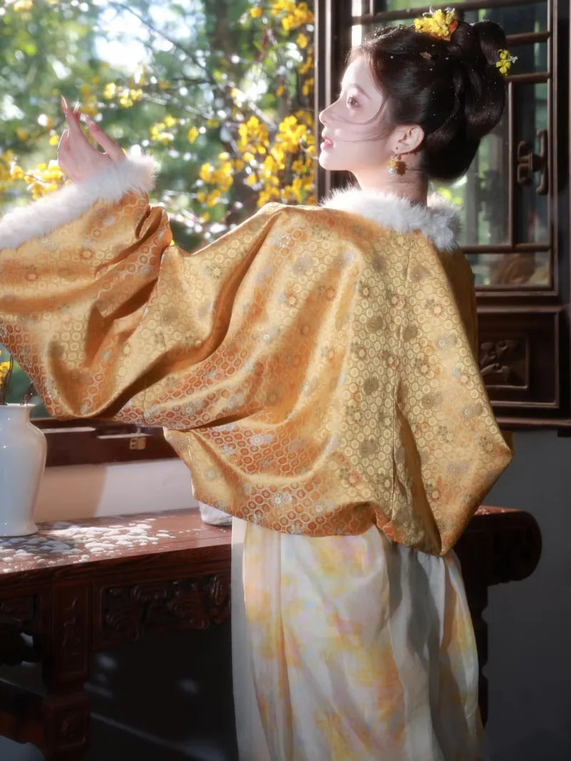 Hanfu clothes featuring Tang-style chest-high winter dress with plush lining