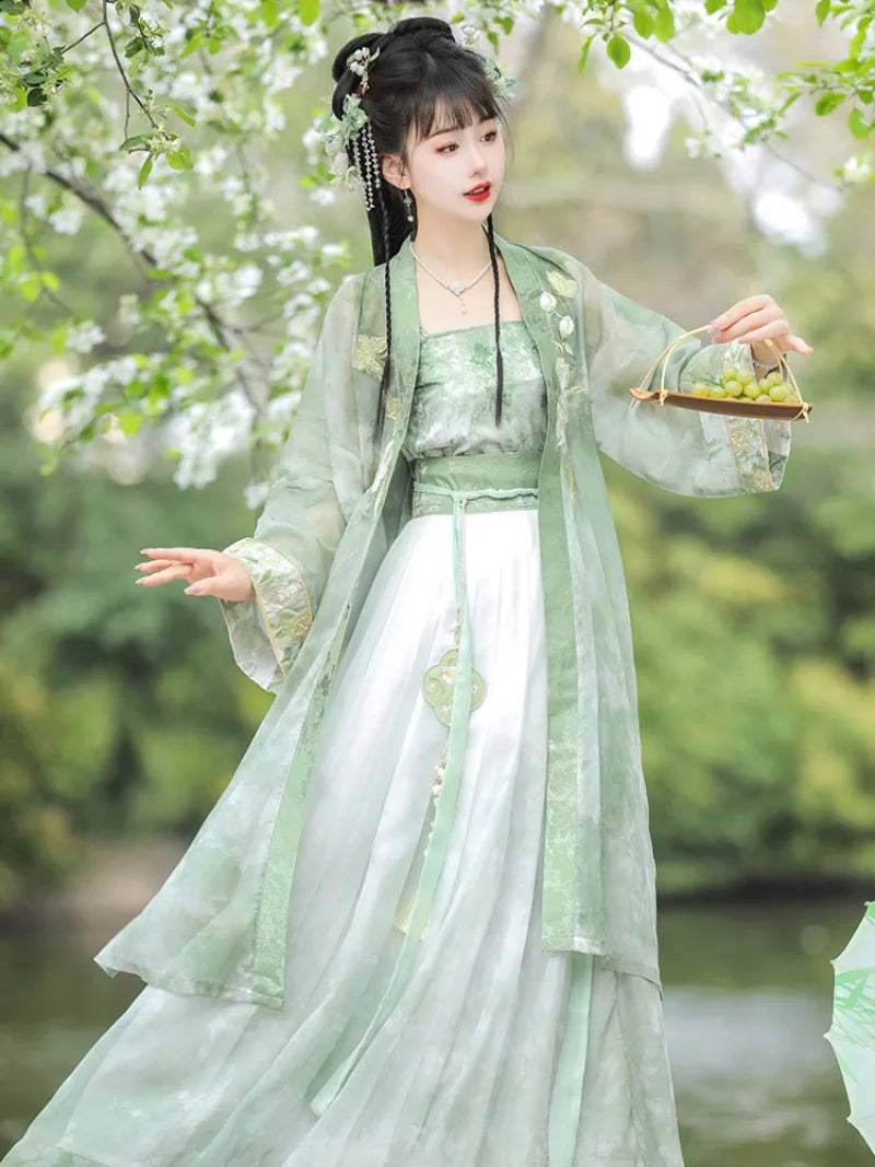 Hanfu style clothes Song-inspired summer chiffon dress with embroidery
