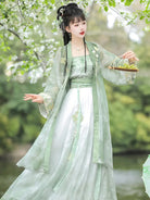 Hanfu style clothes Song-inspired summer chiffon dress with embroidery