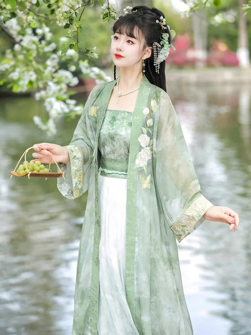 Hanfu style clothes Song-inspired summer chiffon dress with embroidery