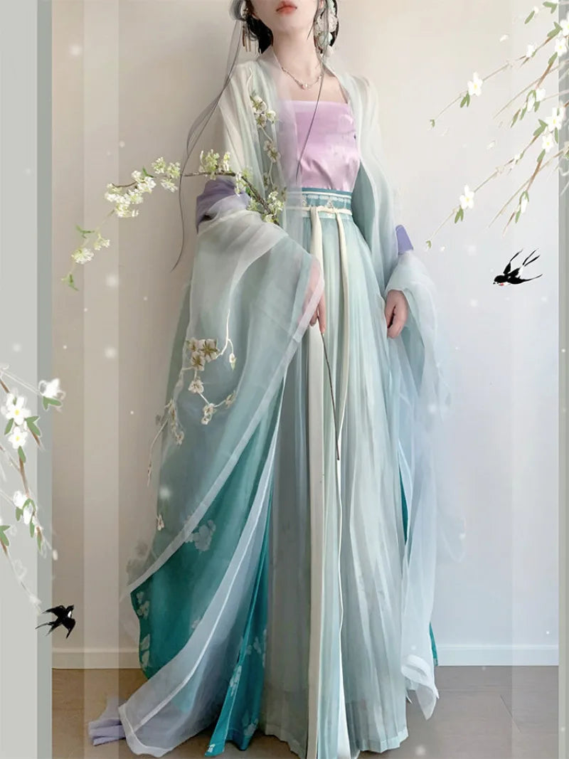 Hanfu style clothing Song dynasty embroidered wide sleeve spring outfit