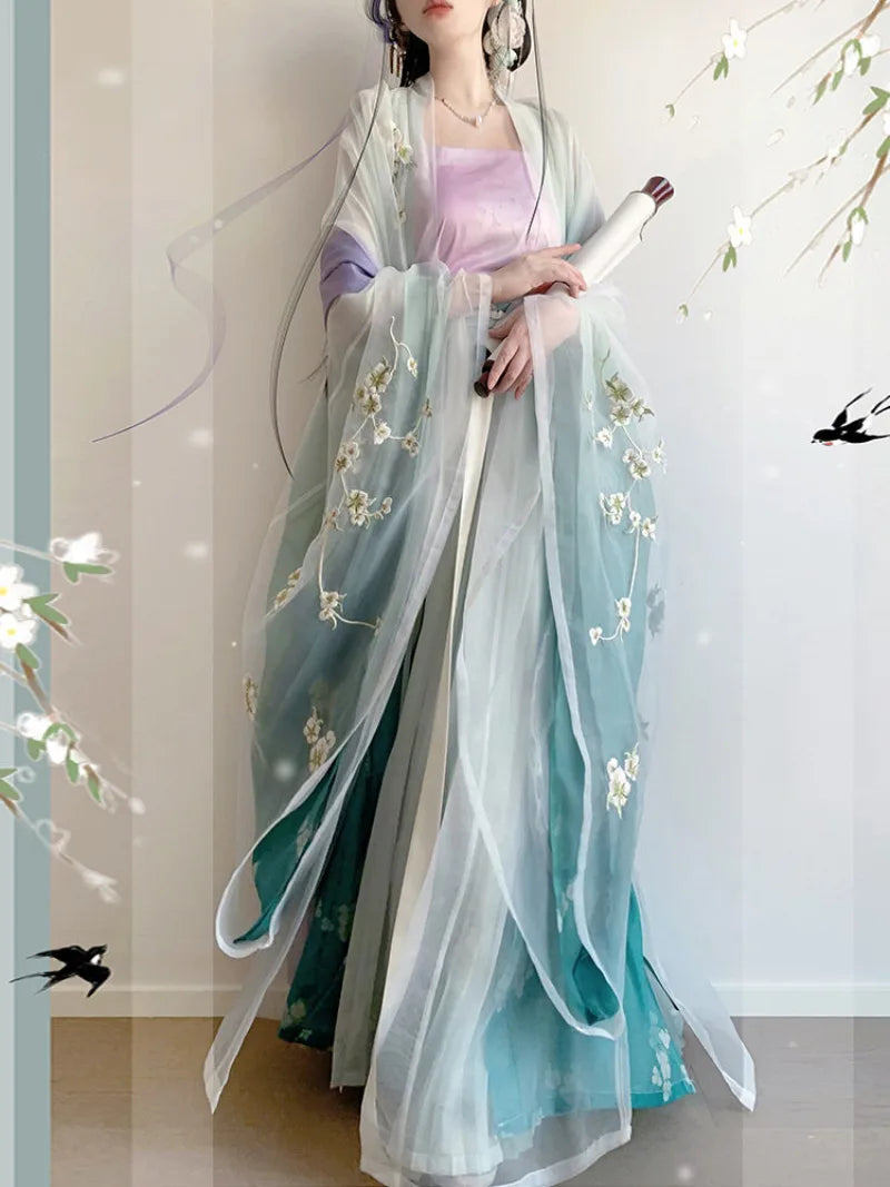 Hanfu style clothing Song dynasty embroidered wide sleeve spring outfit