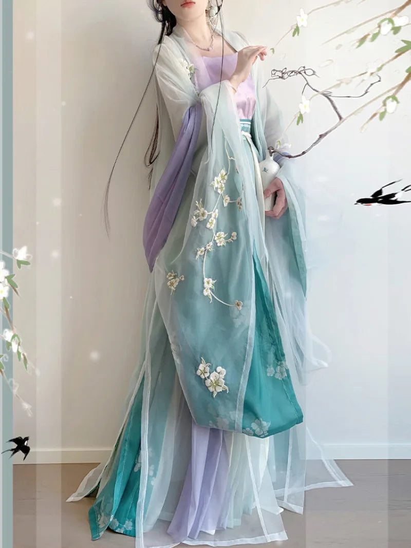 Hanfu style clothing Song dynasty embroidered wide sleeve spring outfit