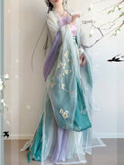 Hanfu style clothing Song dynasty embroidered wide sleeve spring outfit