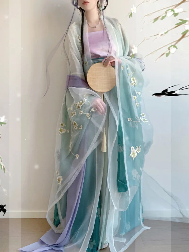 Hanfu style clothing Song dynasty embroidered wide sleeve spring outfit