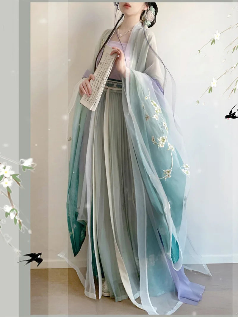 Hanfu style clothing Song dynasty embroidered wide sleeve spring outfit