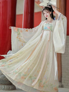 Hanfu Tang dynasty clothing with original hezi skirt and elegant flowing design