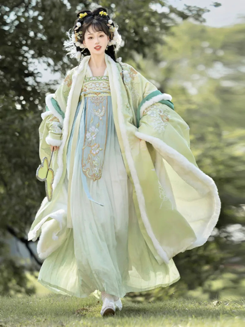 Hanfu Tang Dynasty dress featuring qi chest pleated skirt and wool texture