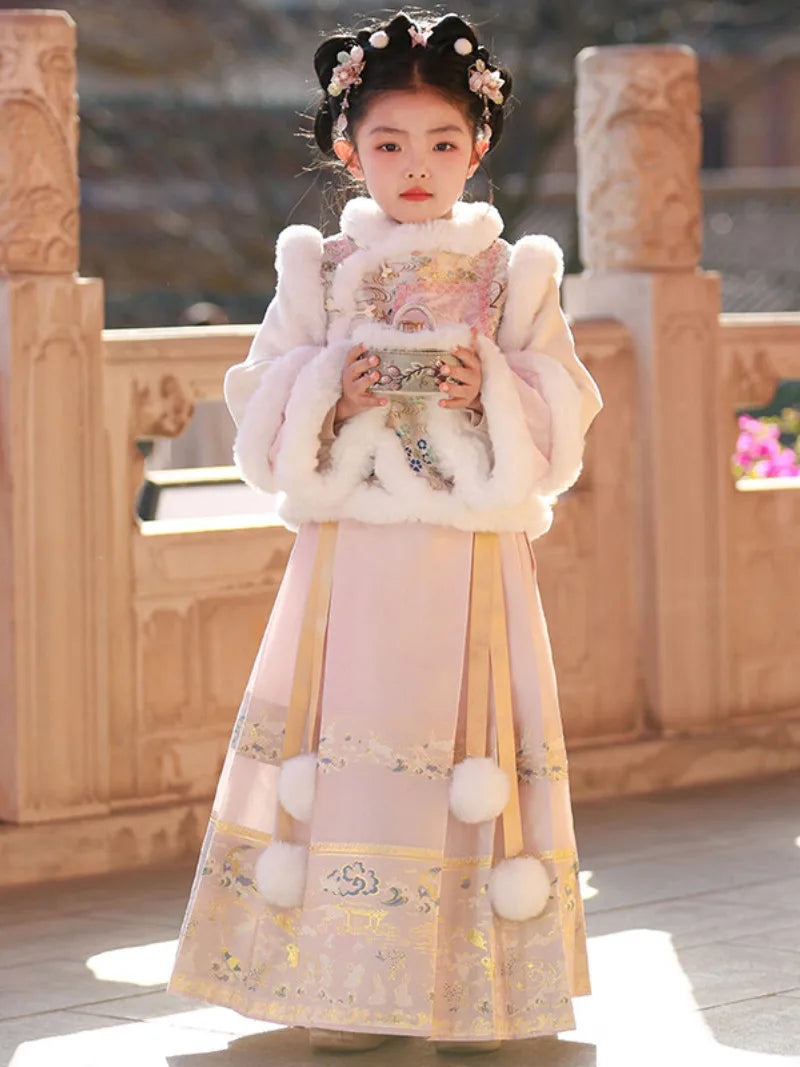 Little girl clothes winter Hanfu Ma Mian skirt set with embroidery
