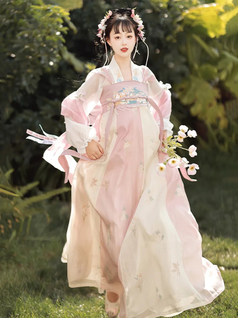 Tang Dynasty clothing female hanfu dress with soft colors and flowing skirt