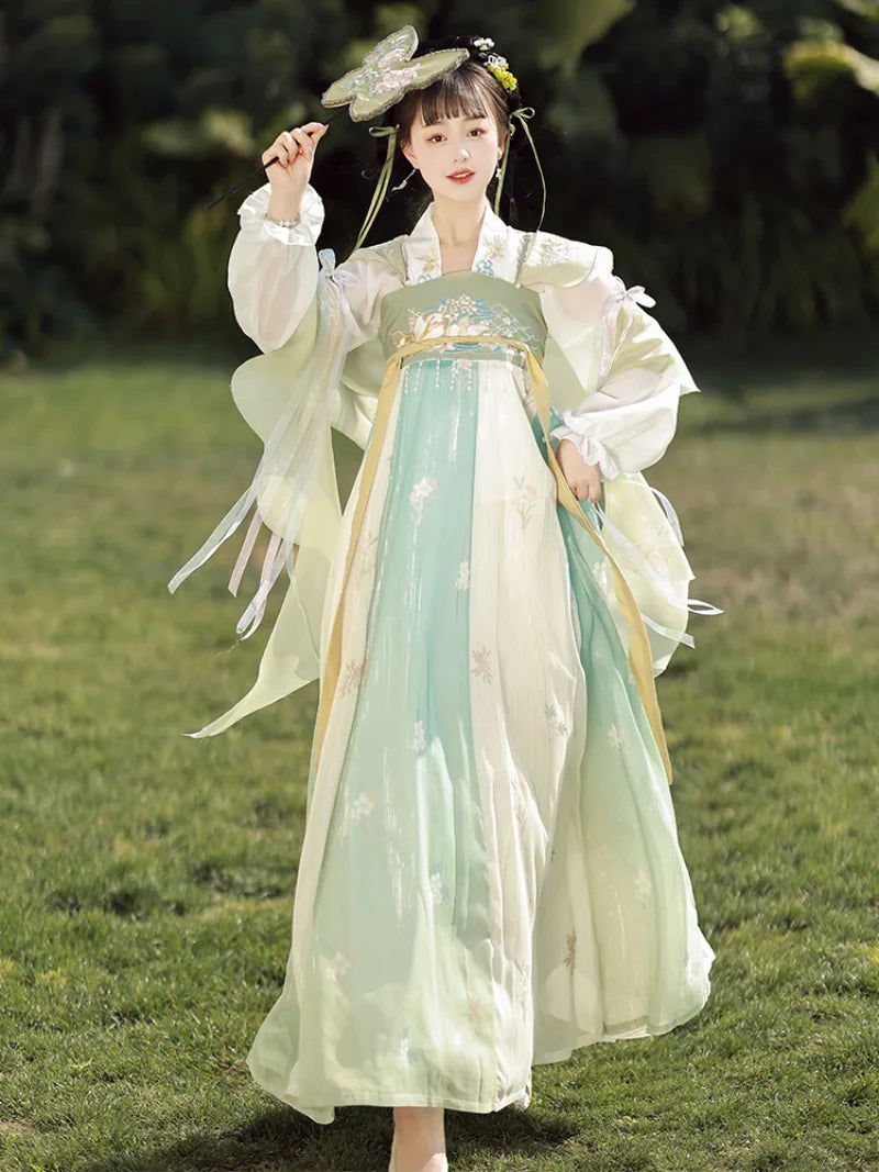 Tang Dynasty clothing female hanfu dress with soft colors and flowing skirt