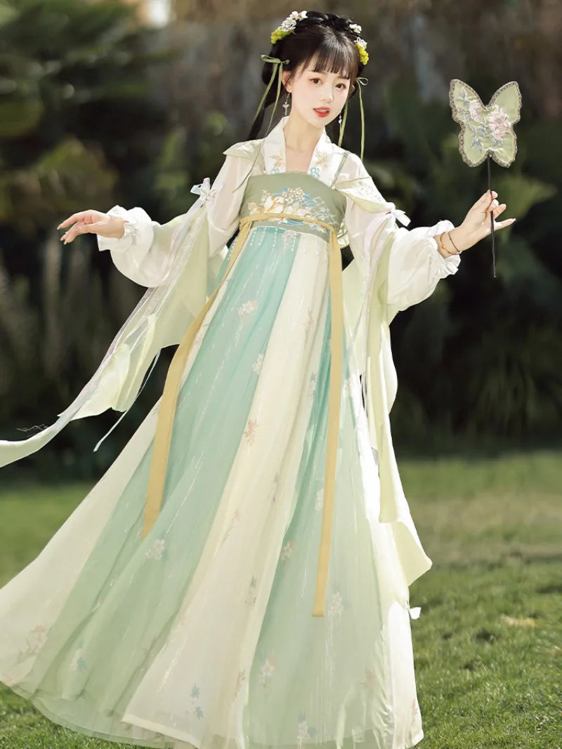 Tang Dynasty clothing female hanfu dress with soft colors and flowing skirt
