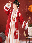 Traditional Chinese clothing female hanfu Song style fur collar outerwear