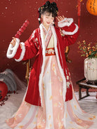 Traditional Chinese clothing female hanfu Song style fur collar outerwear