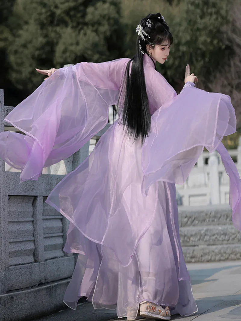 Elegant traditional Chinese costume with Wei Jin straight-hem design and flowing fairy-like silhouette.